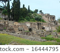 Roman Forum 16444795