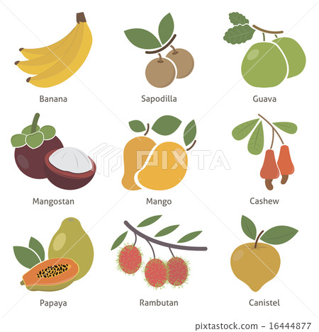 Fruits and berries 16444877