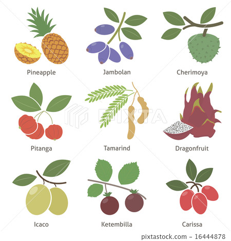 Fruits and berries Fruits and berries 16444878