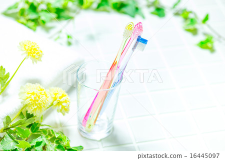 Toilet image Toothbrush 16445097