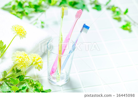 廁所圖像牙刷 16445098