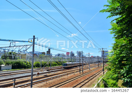 Shin Osaka 16445267