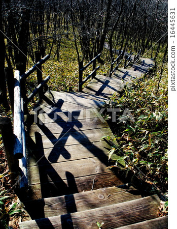 釧路市濕地天文台 16445631