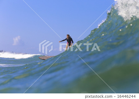 Surfing a wave 16446244
