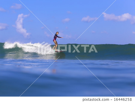 Surfer girl on Amazing Blue Wave Surfer girl on Amazing Blue Wave 16446258