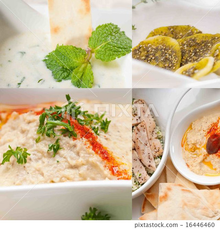 middle east food collage 16446460