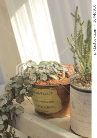 Heart Kazura 16446910