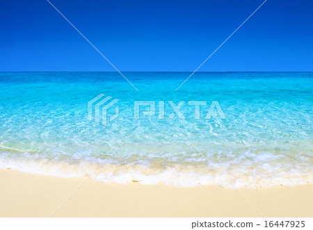 tropical sea tropical sea 16447925