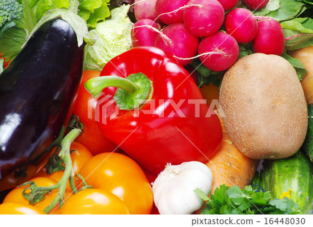 vegetables  background 16448030
