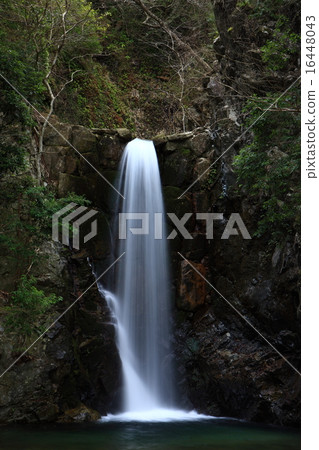 Ikiga瀑布 16448043