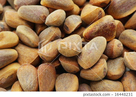 nuts 16448231