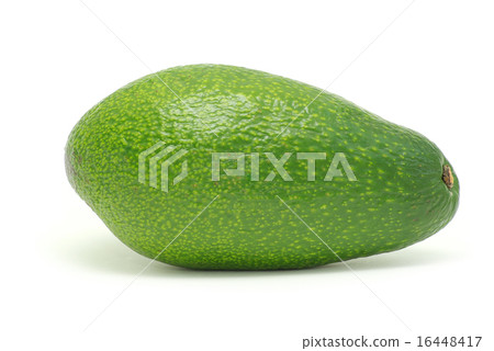 avocado avocado 16448417