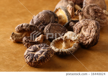 Dick shiitake mushroom Dick shiitake mushroom 16448824