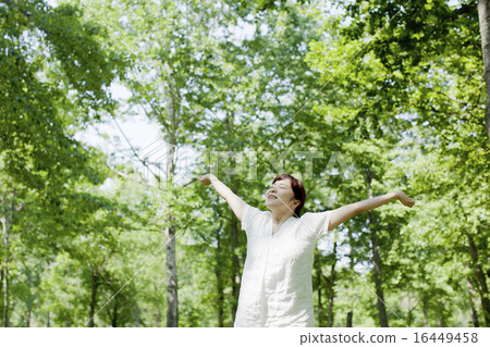 Forest bathing 16449458