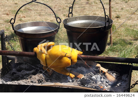 Chicken 16449624