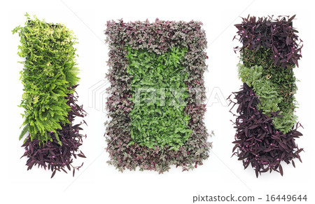 Hanging gardens 16449644