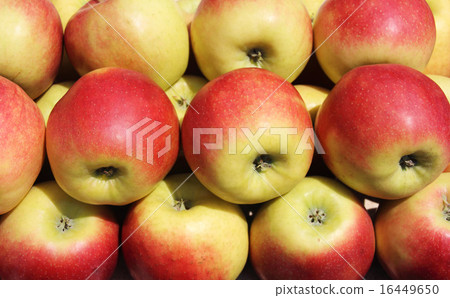 Idared apples 16449650