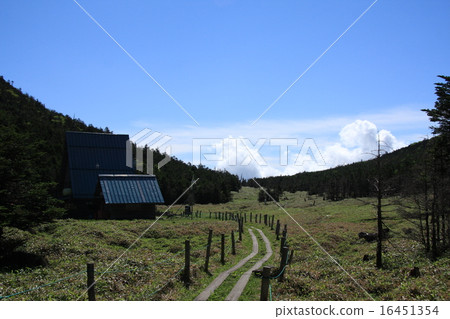 Summer Mountain Climbing Road Yatsugatake Summer Mountain Climbing Road Yatsugatake 16451354