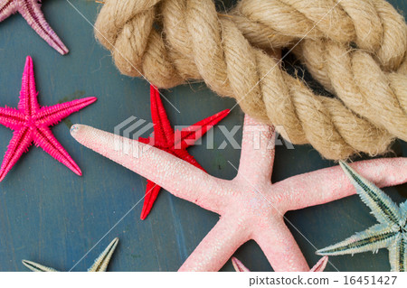 marine rope with starfish marine rope with starfish 16451427