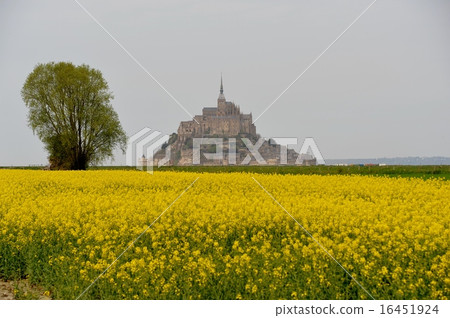 蒙特 - 聖 - 米歇爾-10 16451924