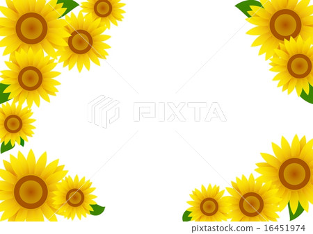 Sunflower sky and clouds back Sunflower sky and clouds back 16451974