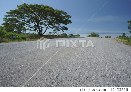 farm field walkway tree plant soil argriculture  16453266