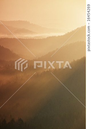 Misty dawn from hill over beautiful dreamy valley Misty dawn from hill over beautiful dreamy valley 16454269