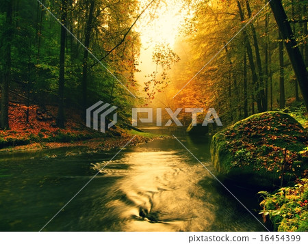 Colorful bank of autumn mountain river Colorful bank of autumn mountain river 16454399