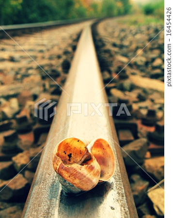 Empty and broken snail shell on rusty railway rail Empty and broken snail shell on rusty railway rail 16454426