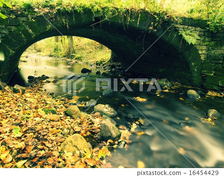 Old bridge above water of stream full of leaves Old bridge above water of stream full of leaves 16454429