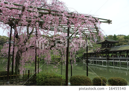 Kyoto Heian Shrine of the Shrine 9 16455540