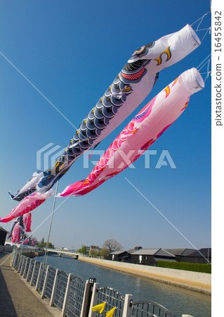 Carp streaming of solder canal Carp streaming of solder canal 16455842
