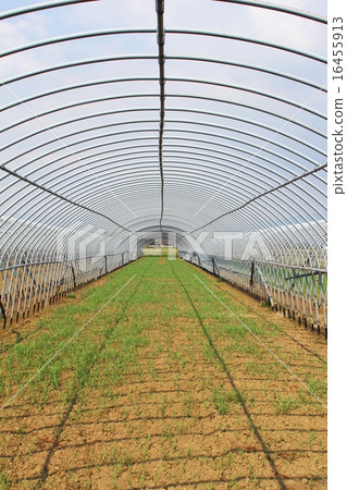 Pipe house tunnel 16455913