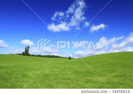 北海道富良野市草原和細雲 16456018