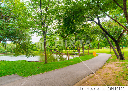 Green lawn with tree in city park, Beautiful park Green lawn with tree in city park, Beautiful park 16456121