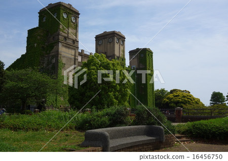 根岸森林公園 16456750