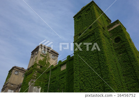 根岸森林公園 16456752