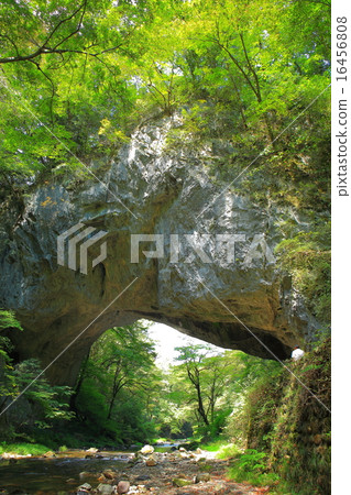 Teiji Gorge male bridge 16456808