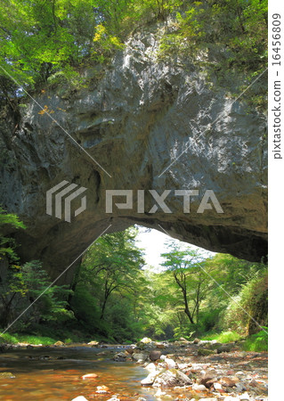 Teiji Gorge male bridge 16456809