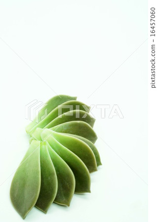 Gurapararifu Gurapararifu 16457060