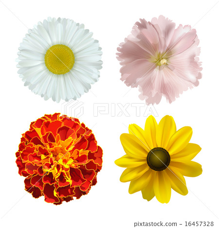 Summer flowers 16457328