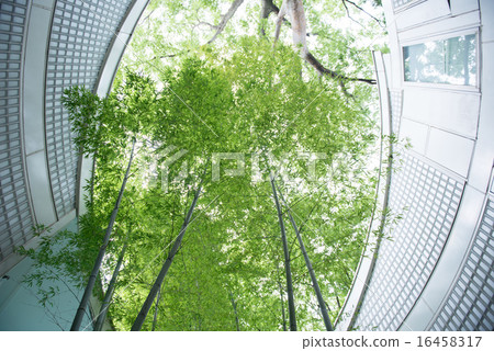 自然與建築的共生 16458317