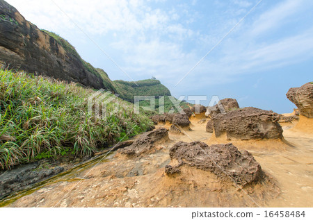 Mushroom rocks in Yehliu Geopark, Taiwan. Mushroom rocks in Yehliu Geopark, Taiwan. 16458484