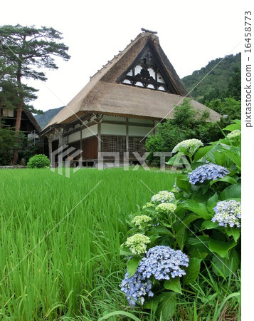 Shirakawago Shirakawago 16458773