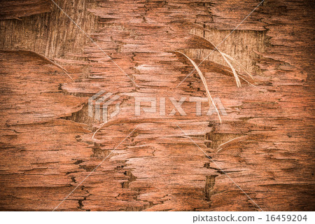 Cracked layer of old plywood Cracked layer of old plywood 16459204