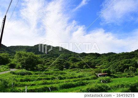 Terraced sky 16459255