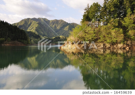 沉默的湖 沉默的湖 16459639