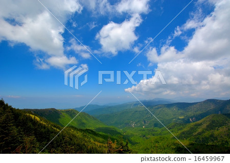 登山青山/ Neko(45) 登山青山/ Neko(45) 16459967