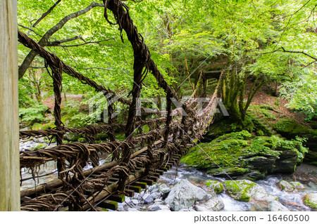 Tokushima ken Oku Iya Double Kazura Bridge Tokushima ken Oku Iya Double Kazura Bridge 16460500