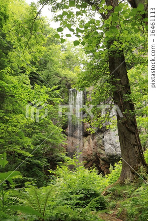 Yamihiko's waterfall over the forest · Hokkaido Monbetsu-gun Marunochi Yamihiko's waterfall over the forest · Hokkaido Monbetsu-gun Marunochi 16461113